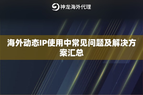 海外动态IP使用中常见问题及解决方案汇总