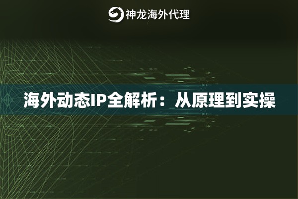 海外动态IP全解析：从原理到实操