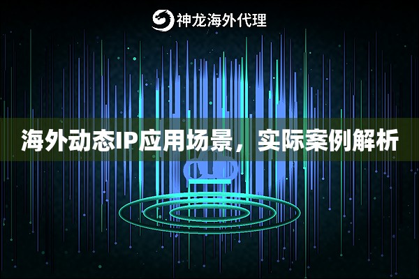 海外动态IP应用场景，实际案例解析
