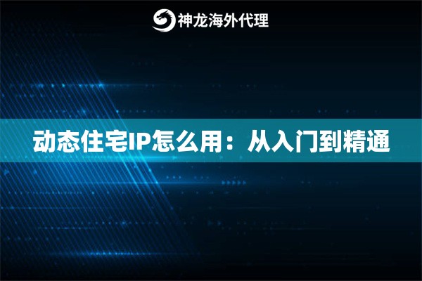 动态住宅IP怎么用：从入门到精通