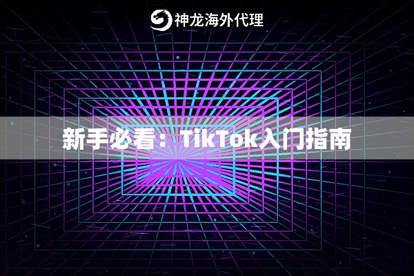 新手必看：TikTok入门指南
