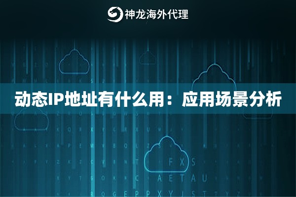 动态IP地址有什么用：应用场景分析