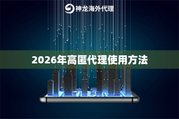 2026年高匿代理使用方法
