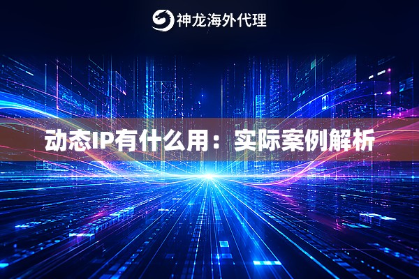 动态IP有什么用：实际案例解析