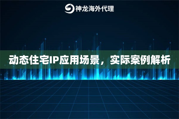 动态住宅IP应用场景，实际案例解析