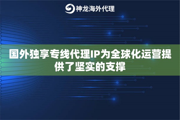 国外独享专线代理IP为全球化运营提供了坚实的支撑