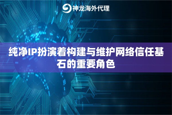 纯净IP扮演着构建与维护网络信任基石的重要角色