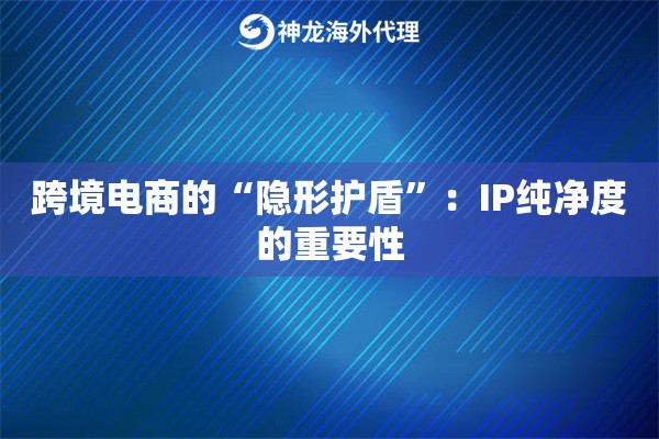 跨境电商的“隐形护盾”：IP纯净度的重要性