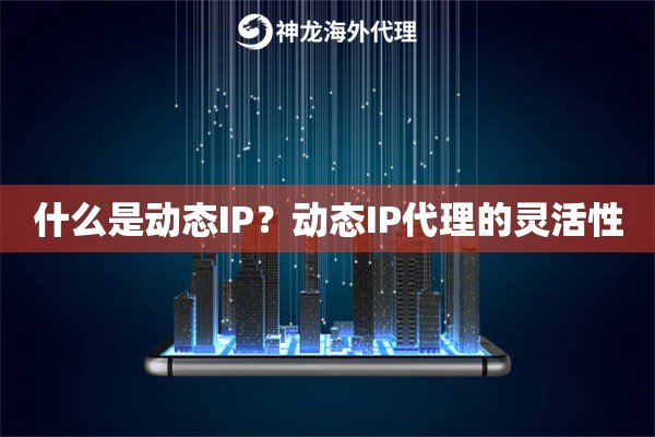 什么是动态IP？动态IP代理的灵活性