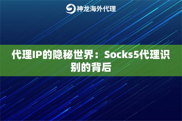 代理IP的隐秘世界：Socks5代理识别的背后