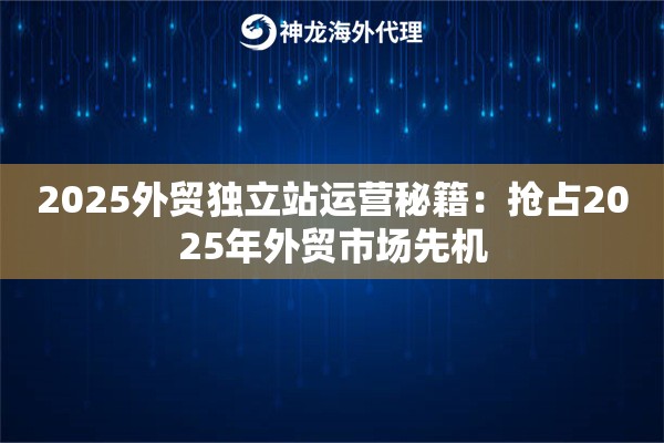 2025外贸独立站运营秘籍：抢占2025年外贸市场先机