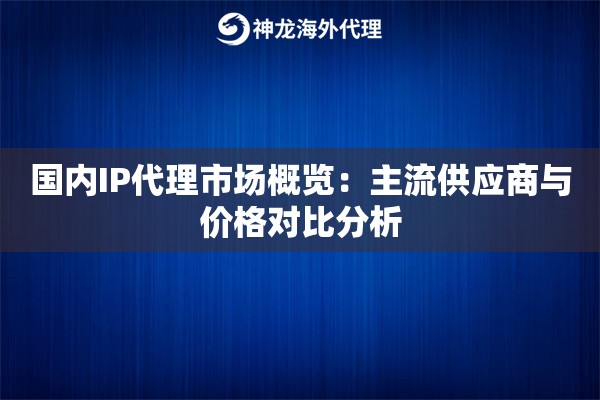 国内IP代理市场概览：主流供应商与价格对比分析