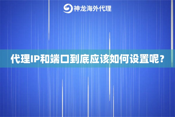 代理IP和端口到底应该如何设置呢？