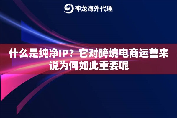 什么是纯净IP？它对跨境电商运营来说为何如此重要呢