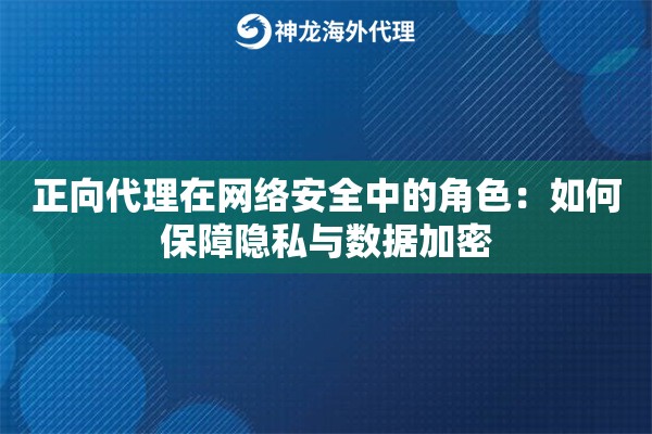 正向代理在网络安全中的角色：如何保障隐私与数据加密