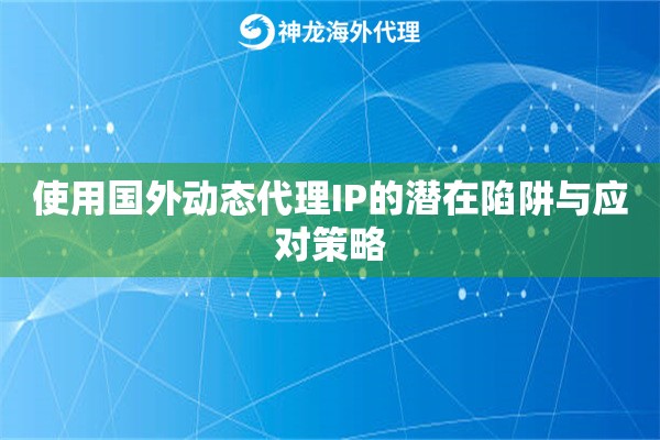 使用国外动态代理IP的潜在陷阱与应对策略