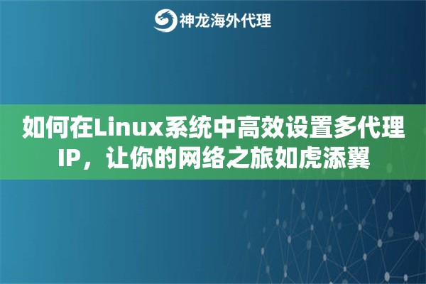 如何在Linux系统中高效设置多代理IP，让你的网络之旅如虎添翼