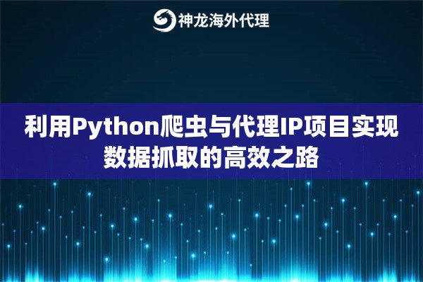 利用Python爬虫与代理IP项目实现数据抓取的高效之路