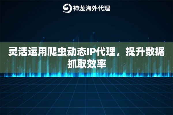 灵活运用爬虫动态IP代理，提升数据抓取效率