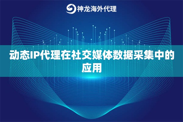 动态IP代理在社交媒体数据采集中的应用