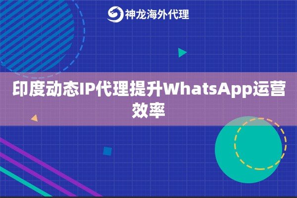 印度动态IP代理提升WhatsApp运营效率