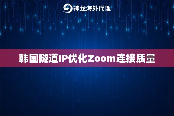 韩国隧道IP优化Zoom连接质量