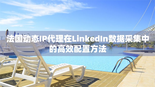 法国动态IP代理在LinkedIn数据采集中的高效配置方法