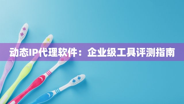 动态IP代理软件：企业级工具评测指南