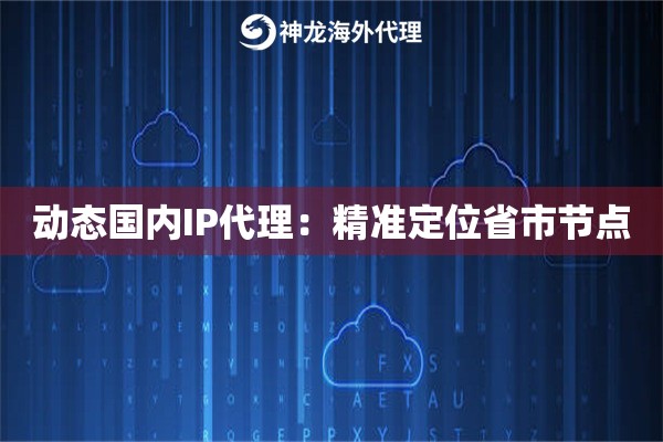 动态国内IP代理：精准定位省市节点