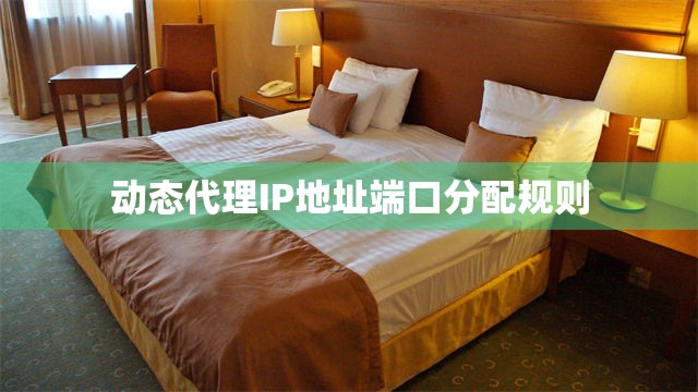 动态代理IP地址端口分配规则