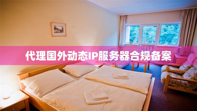 代理国外动态IP服务器合规备案