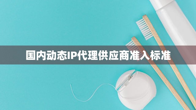 国内动态IP代理供应商准入标准