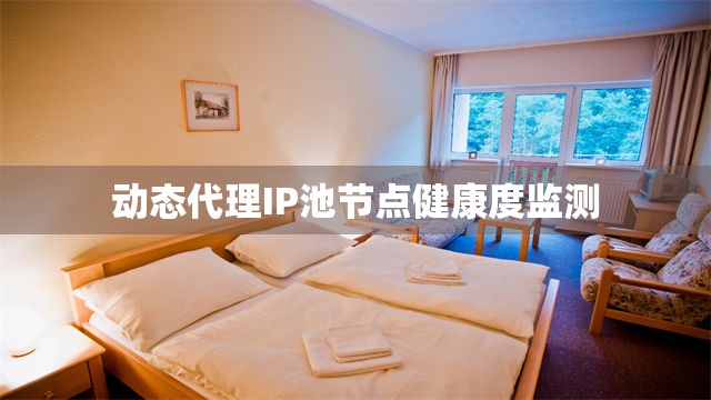 动态代理IP池节点健康度监测