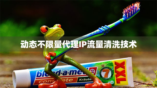 动态不限量代理IP流量清洗技术