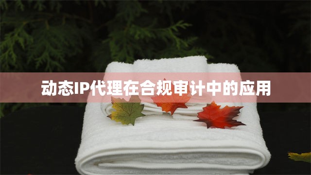动态IP代理在合规审计中的应用