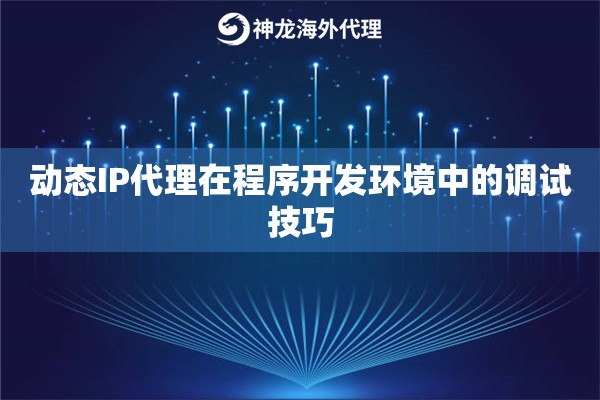 动态IP代理在程序开发环境中的调试技巧