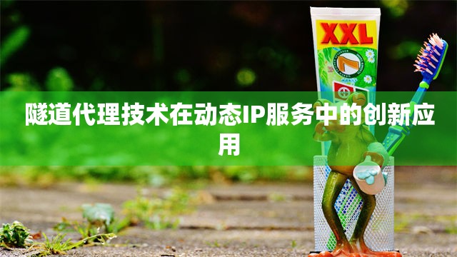 隧道代理技术在动态IP服务中的创新应用