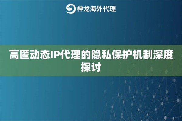 高匿动态IP代理的隐私保护机制深度探讨