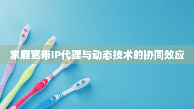 家庭宽带IP代理与动态技术的协同效应