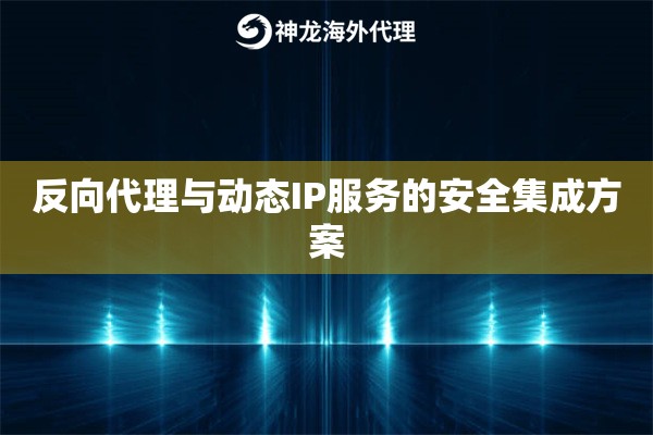 反向代理与动态IP服务的安全集成方案