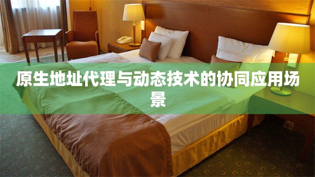 原生地址代理与动态技术的协同应用场景