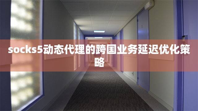 socks5动态代理的跨国业务延迟优化策略