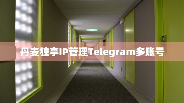 丹麦独享IP管理Telegram多账号
