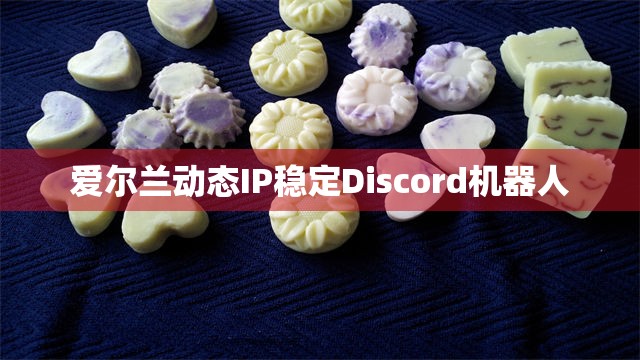 爱尔兰动态IP稳定Discord机器人