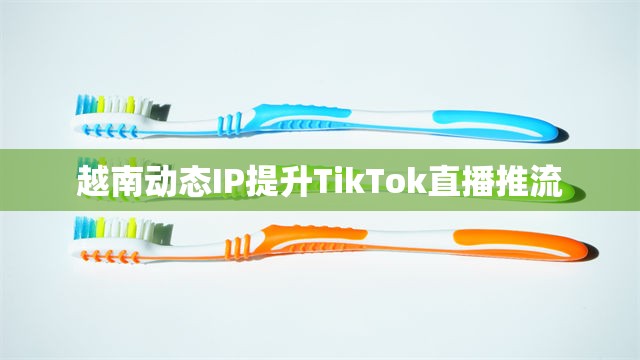 越南动态IP提升TikTok直播推流