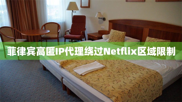 菲律宾高匿IP代理绕过Netflix区域限制
