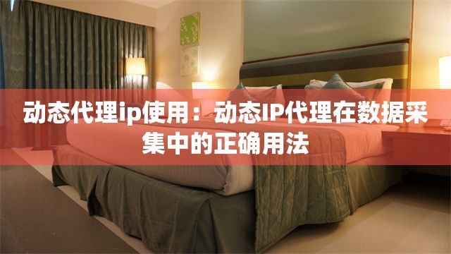 动态代理ip使用：动态IP代理在数据采集中的正确用法
