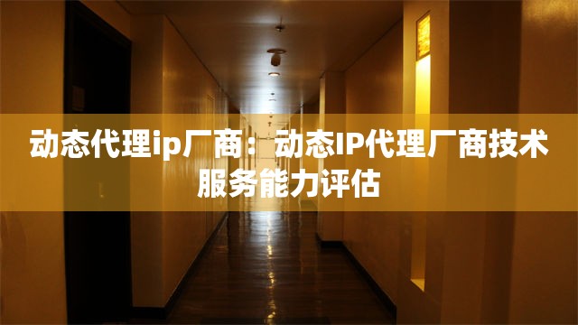 动态代理ip厂商：动态IP代理厂商技术服务能力评估