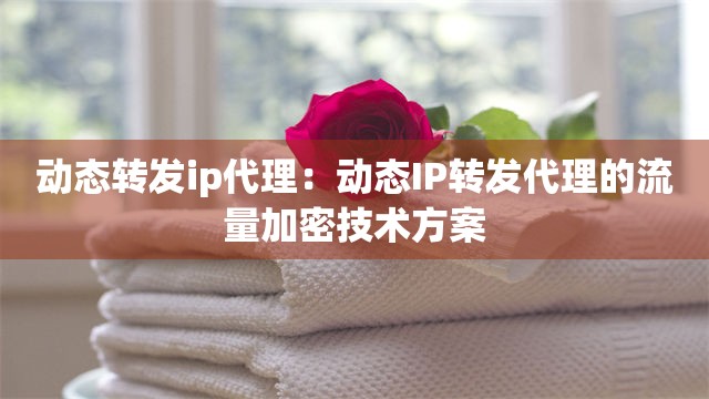 动态转发ip代理：动态IP转发代理的流量加密技术方案