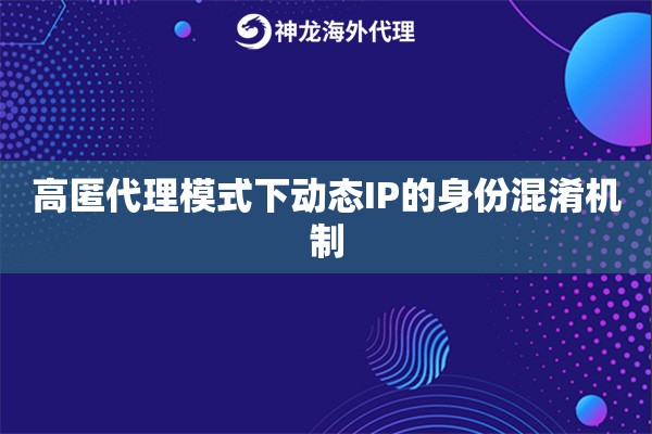 高匿代理模式下动态IP的身份混淆机制